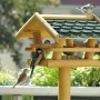 Großes Vogelhaus mit grünem Bitumendach und Ständer aus FSC®-Holz, mit Vögeln.