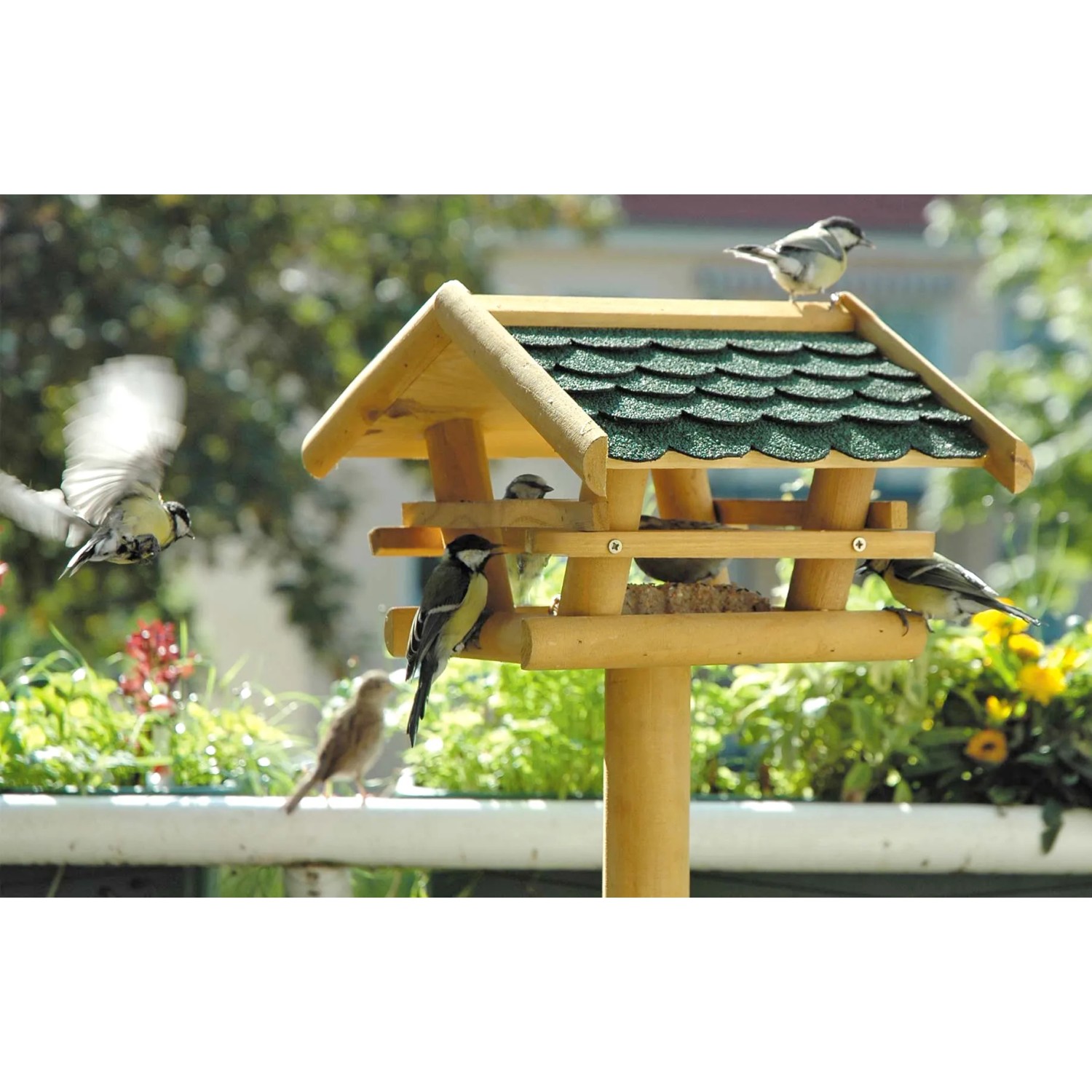 Großes Vogelhaus mit grünem Bitumendach und Ständer aus FSC®-Holz, mit Vögeln.