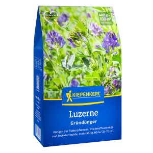 Kiepenkerl Luzerne Gründünger, 400g Packung mit blühenden Pflanzen.