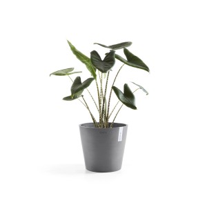 Ecopots Pflanztopf Amsterdam Ø 30 cm x 26 cm Grau