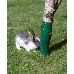 Baumschutzhülle (2 Stk.) in Grün schützt Baum vor Kaninchen auf Rasen.