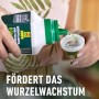 Compo Grünpflanzen- und Palmendünger wird in Messbecher gegossen.