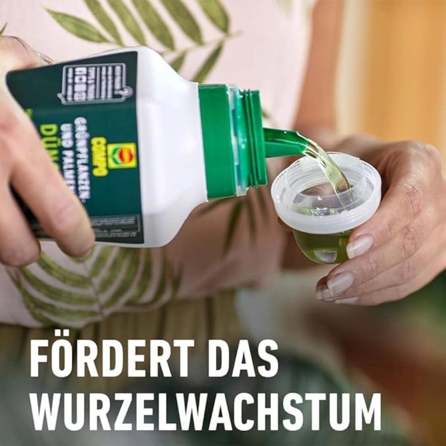 Compo Grünpflanzen- und Palmendünger wird in Messbecher gegossen.
