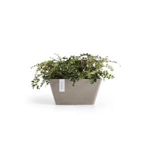 Quadratische, braungraue Ecopots Pflanzschale Berlin, 41x18 cm, mit grüner Pflanze.