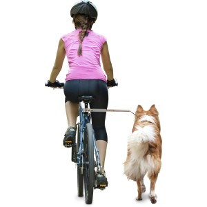 Frau fährt mit Fahrrad und Hund an der Fahrrad Hundeleine Walky Dog Plus.