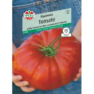 Sperli Tomate Gigantomo F1-Hybride Samenpackung mit großer, roter Fleischtomate.