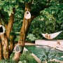 Mehrere graue Elho Vogelhäuser Essential an einem Baum im Garten.