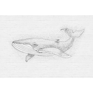 Fototapete Wal Schwarz Weiß 4,00 m x 2,70 m FSC®