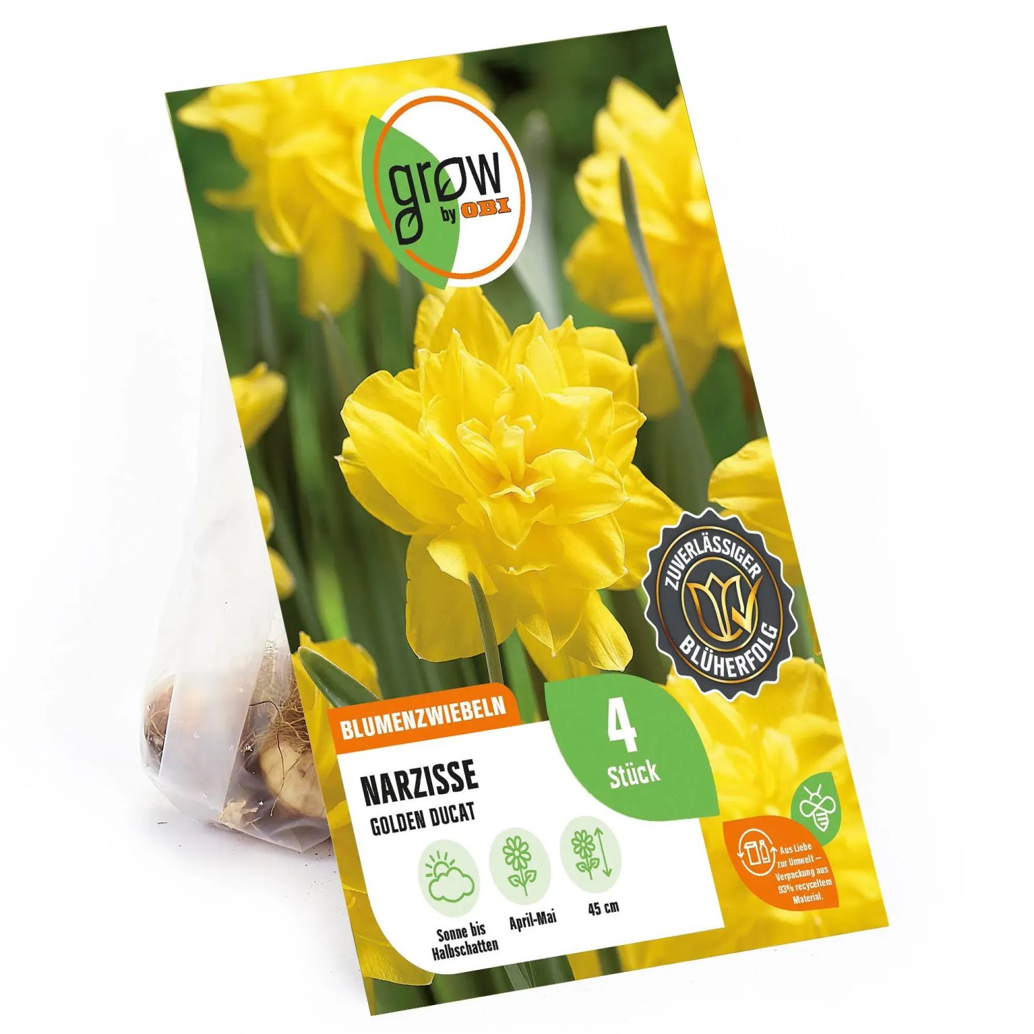 GROW by OBI Narzissen Golden Ducat, 4 Stück Blumenzwiebeln mit leuchtend gelben, gefüllten Blüten.
