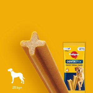 Pedigree Hund-Zahnpflege Dentastix Large Multipack 76+36 Stück
