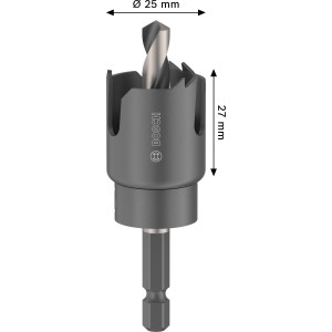 Bosch Lochsäge Wood and Drywall mit Aufsteckhalter Ø 25 mm x 27 mm Grau