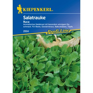 Salatrauke Ruca Samenpackung: Würziges Blattgemüse für Beet und Balkon.