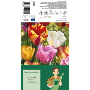 Tulipa Triumph Mischung, 20 Stück: Farbenfrohe Tulpenmischung für Beet und Garten.