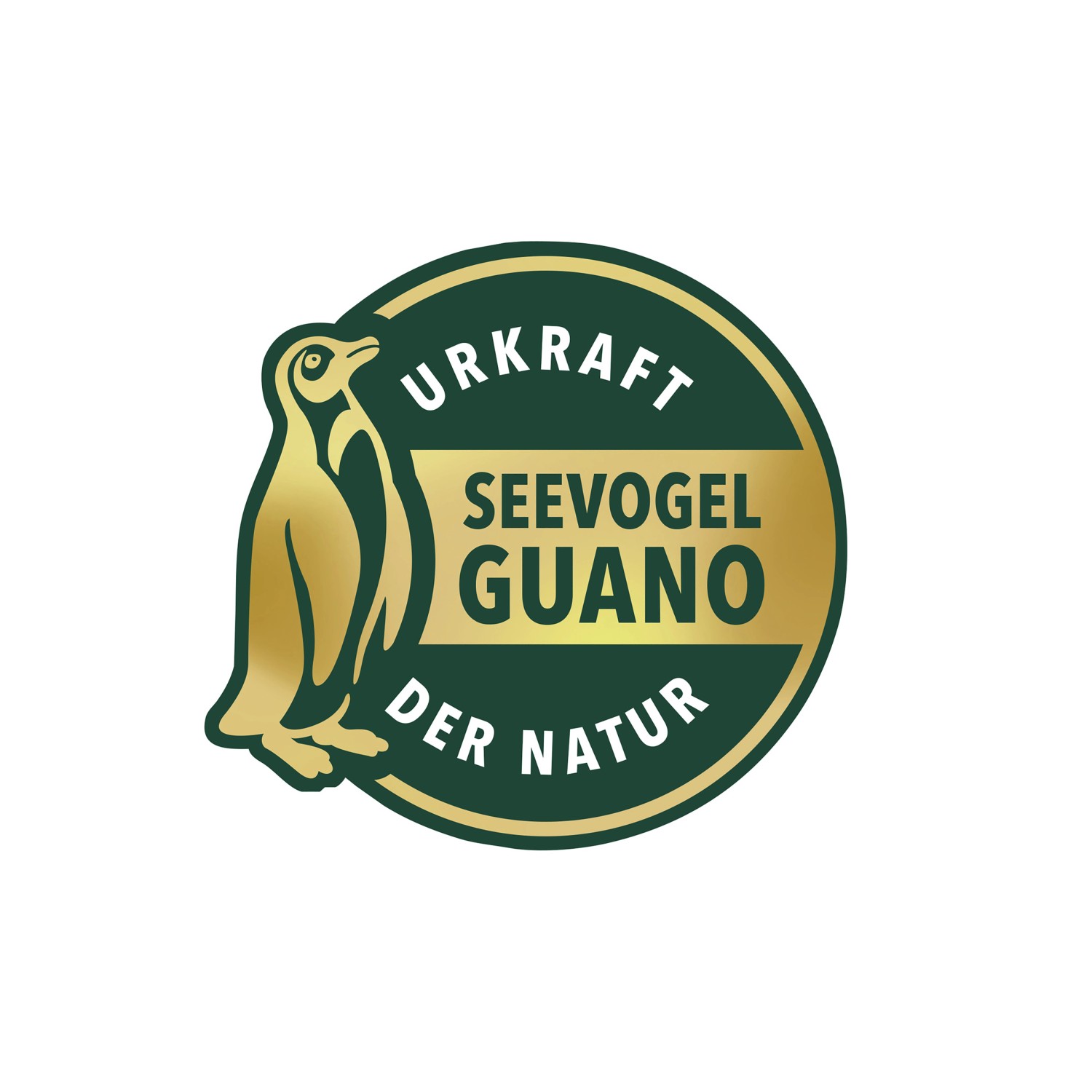 Compo Düngestäbchen für Grünpflanzen und Palmen mit Guano 30 Stäbchen_3