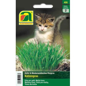 Austrosaat Katzengras Saatgut für Töpfe und Schalen, mit Katze.