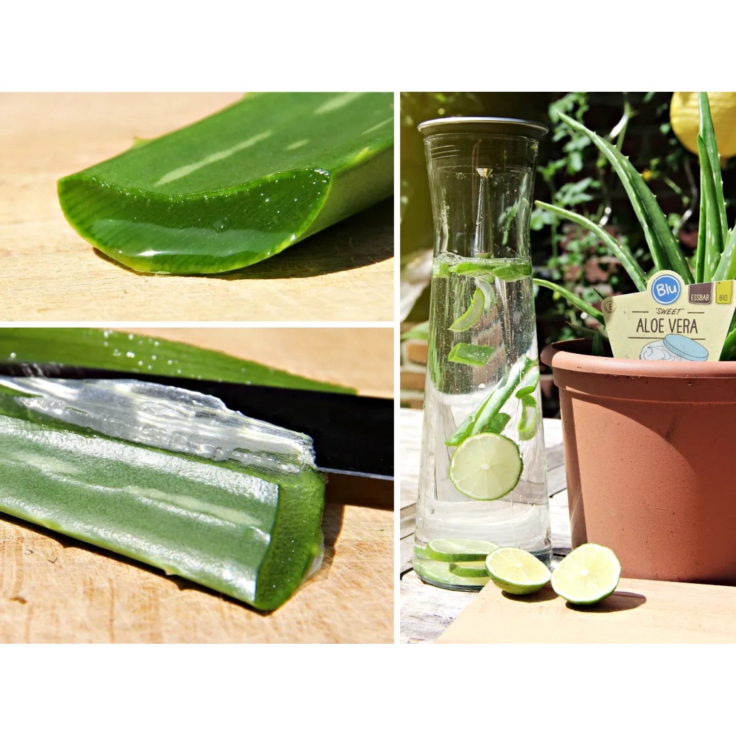 aloe vera gel köln Aloe Vera Gold Hautgel main image 1