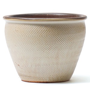 Cremefarbener Kirschke Pflanztopf Boa (Ø 25 cm) mit Schlangenmuster für Innen & Außen.