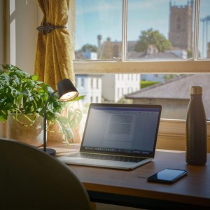 Schwarze Brilo Akku-Schreibtischlampe Biwo auf Schreibtisch mit Laptop und Zimmerpflanze.