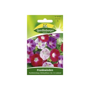 Quedlinburger Trichter Winde ''Prachtmischung''