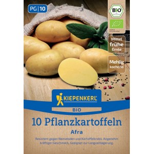 Kiepenkerl BIO Pflanzkartoffel Afra, 10 St