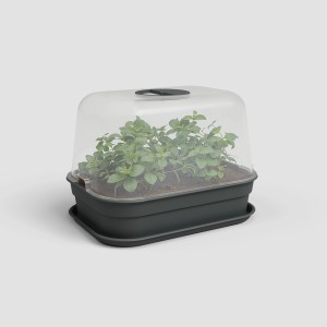 Artevasi Anzucht-Haube Madagascar S, transparent, für Pflanzenanzucht.