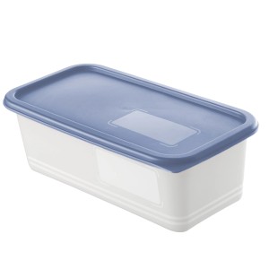 Rotho Gefrierdose Domino, 1,2 l, horizontblau, 3er-Set. Vorratsdose mit Deckel und Beschriftungsfeld.