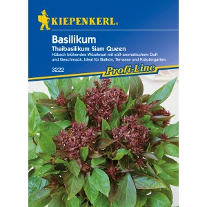Basilikum Siam Queen