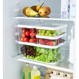 Rotho Kühlschrankorganizer Cauma mit Gemüse und Obst im Kühlschrank.