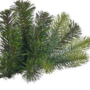 Detailaufnahme: Grüne Zweige der Kunsttanne Ketola XXXL, ideal für Weihnachtsdekoration.