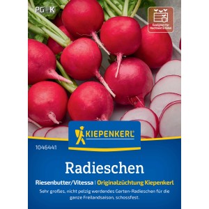 Kiepenkerl Saatgut Radieschen Riesenbutter/Vitessa
