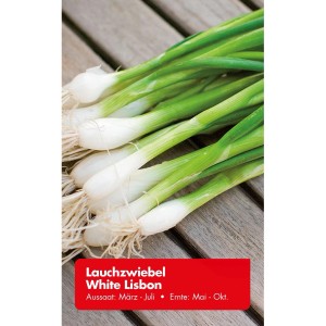 Frische Lauchzwiebeln 'White Lisbon' auf Holz, ideal für den Anbau im eigenen Garten.
