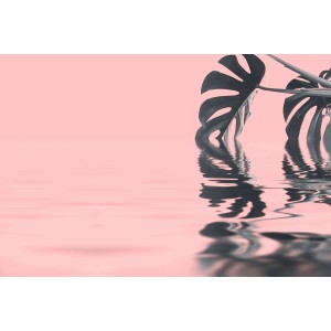 Fototapete Palmen Blätter Monstera Wasser Grau Rosa 4,00 m x 2,70 m FSC®