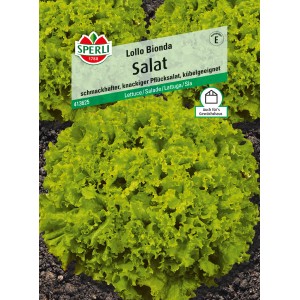 Sperli Pflücksalat Lollo Bionda, frischgrüner, krauser Salat im Beet.