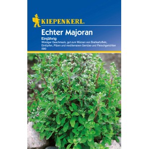 Kiepenkerl Majoran einjährig: Frische Majoranpflanze mit grünen Blättern und kleinen Blüten.