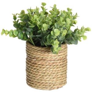 Grüne Kunstpflanze im Seegras-Topf, verschiedene Sorten.