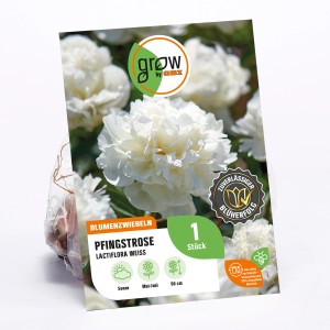 Verpackung der GROW by OBI Pfingstrose Lactiflora Weiss, Blumenzwiebel mit weißer Blüte.