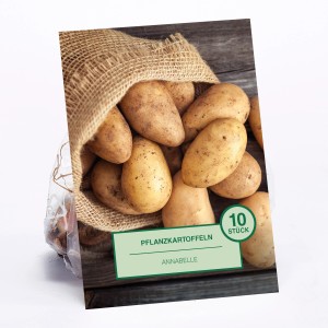 Pflanzkartoffeln Annabelle, 10 Stück im Jutesack. Ideal zum Anpflanzen im Garten.