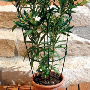 Bellissa Haltesäule 90cm für Töpfe mit Pflanze. Rankhilfe für Stauden im Topf.