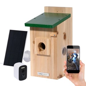 Dobar Nistkasten Eazy aus Holz mit grünem Dach, WiFi Kamera, Solar Panel und Smartphone mit Live-Bild von Vogeljungen.
