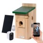 Dobar Nistkasten Eazy aus Holz mit grünem Dach, WiFi Kamera, Solar Panel und Smartphone mit Live-Bild von Vogeljungen.