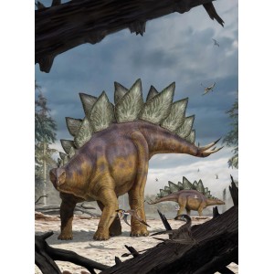 Komar Fototapete Vlies Stegosaurus 184 x 248 cm
