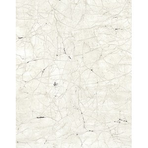 Schöner Wohnen Vliestapete 2 DD Steinoptik Grau-Beige 270 x 212 cm FSC®
