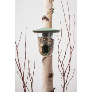 SingingFriend Vogelfutter-Spender Feedr Wild Green am Baumstamm mit Vogelfutter.