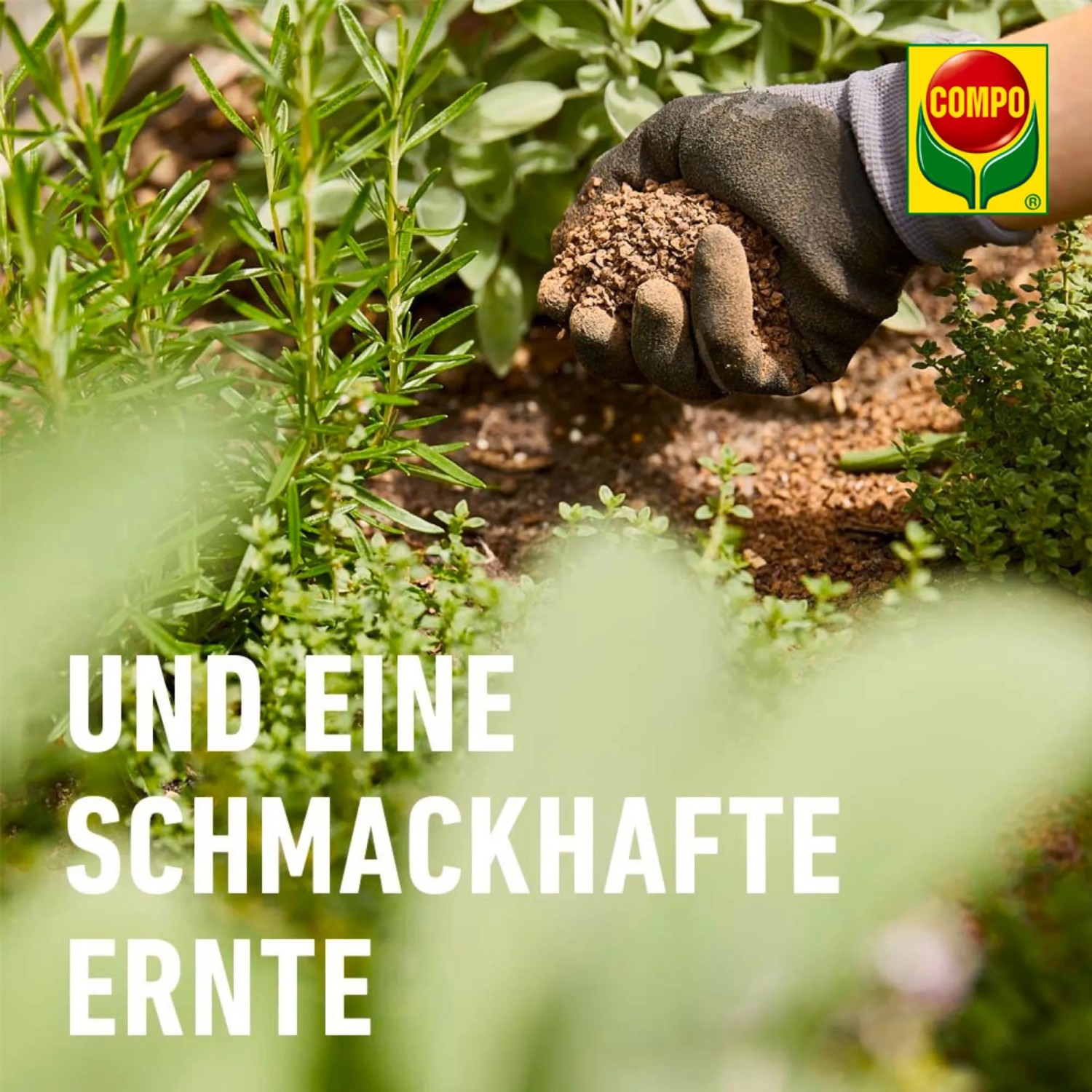 Compo Bio Organischer Gartendnger 5 kg kaufen bei OBI
