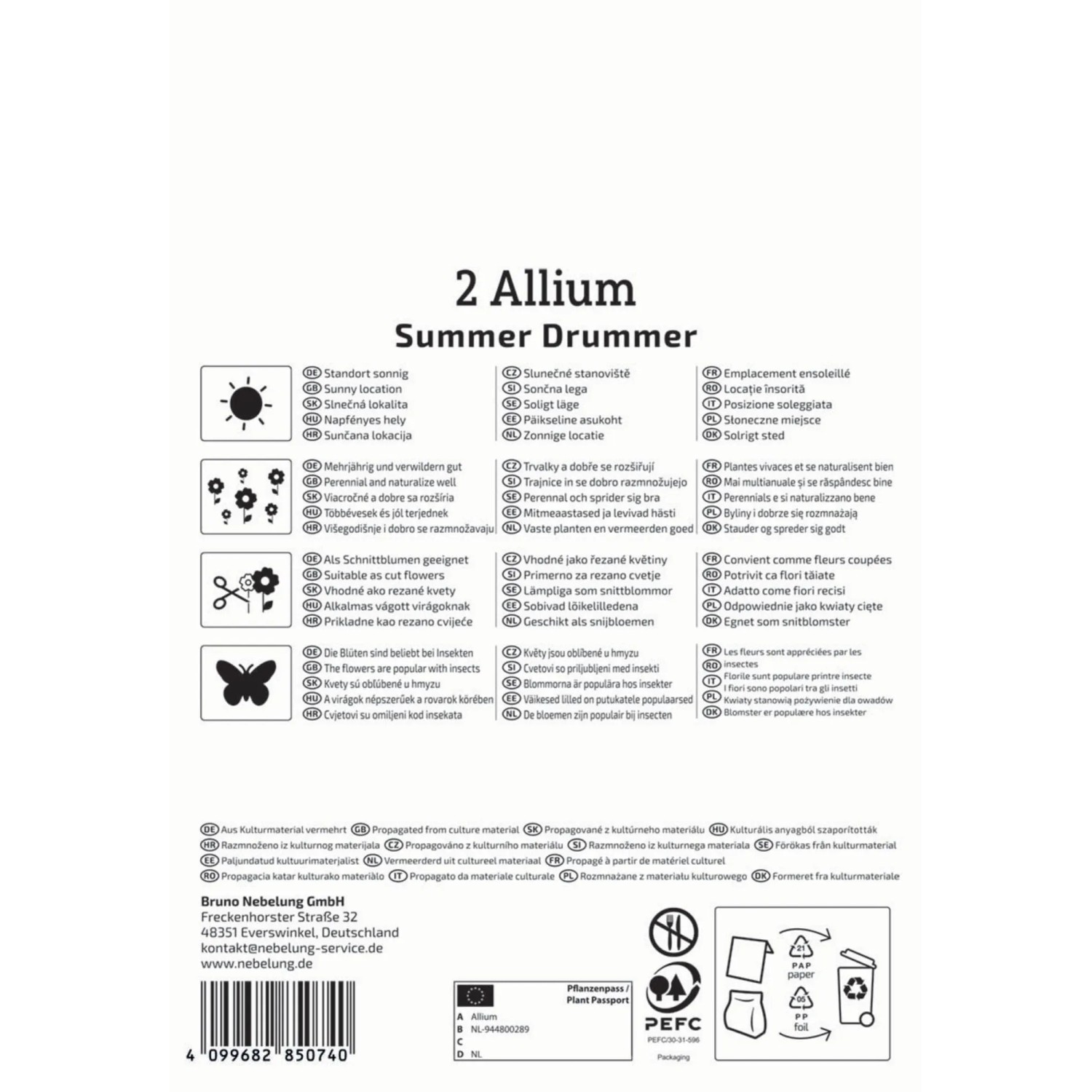 Verpackung Kiepenkerl Blumenzwiebel Zierlauch Summer Drummer, 2 Stück.