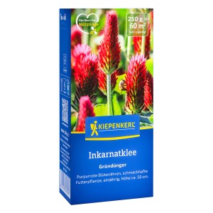 Kiepenkerl Inkarnatklee Gründünger, 250g Packung mit purpurroten Blütenähren.