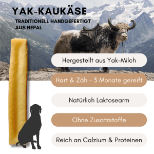 Supravit Yak Kaukäse für Hunde, Größe L. Langer, harter, laktosearmer Kausnack aus Yak-Milch, traditionell aus Nepal.