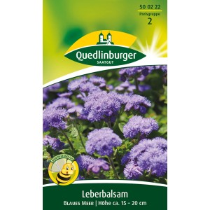 Blütenstände des Quedlinburger Leberbalsam 'Blaues Meer', einjährig, bienenfreundlich.