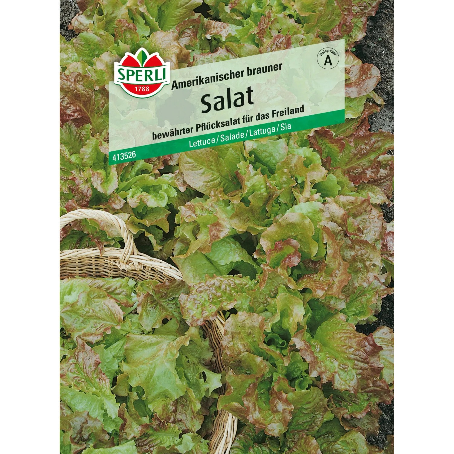 Samenpackung Sperli Pflücksalat Amerikanischer brauner mit Salat im Vordergrund.