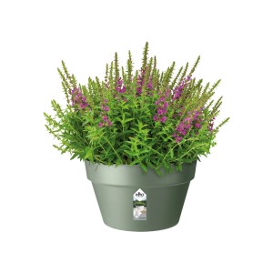 Elho Blumentopfschale Loft Urban, Ø 35 cm, grün, mit blühender Pflanze.